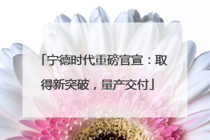 宁德时代重磅官宣：取得新突破，量产交付