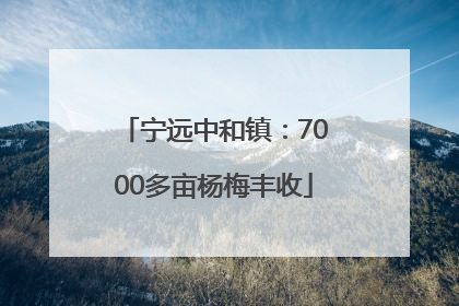 宁远中和镇：7000多亩杨梅丰收