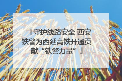 守护线路安全 西安铁警为西延高铁开通贡献“铁警力量”