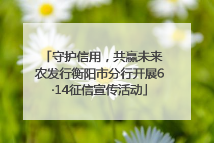 守护信用，共赢未来 农发行衡阳市分行开展6·14征信宣传活动