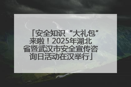 安全知识“大礼包”来啦！2025年湖北省暨武汉市安全宣传咨询日活动在汉举行
