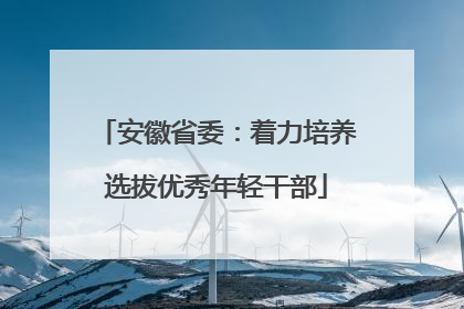安徽省委：着力培养选拔优秀年轻干部