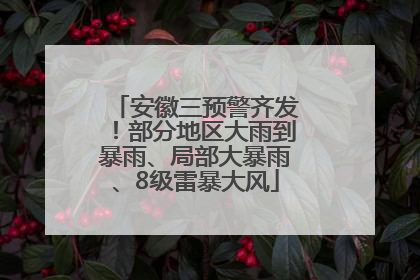 安徽三预警齐发！部分地区大雨到暴雨、局部大暴雨、8级雷暴大风