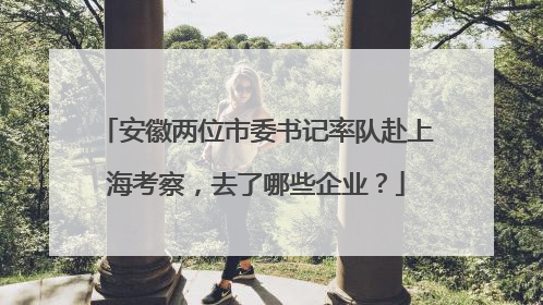 安徽两位市委书记率队赴上海考察，去了哪些企业？