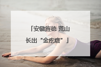 安徽旌德 荒山长出“金疙瘩”