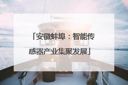 安徽蚌埠：智能传感器产业集聚发展