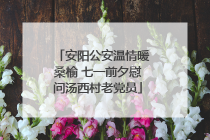 安阳公安温情暖桑榆 七一前夕慰问汤西村老党员