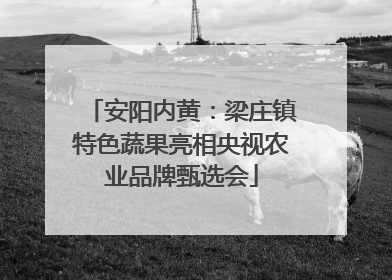安阳内黄：梁庄镇特色蔬果亮相央视农业品牌甄选会