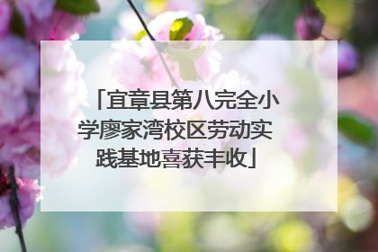 宜章县第八完全小学廖家湾校区劳动实践基地喜获丰收