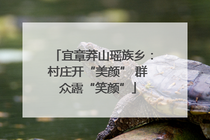 宜章莽山瑶族乡：村庄开“美颜” 群众露“笑颜”