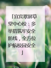 宜宾翠屏草堂中心校：多举措筑牢安全防线，全方位护航校园安全