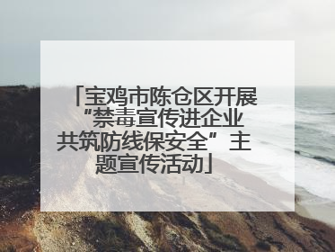 宝鸡市陈仓区开展“禁毒宣传进企业 共筑防线保安全”主题宣传活动