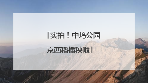 实拍！中坞公园京西稻插秧啦