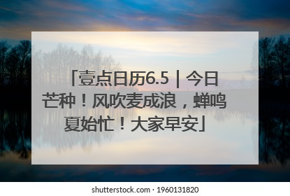壹点日历6.5｜今日芒种！风吹麦成浪，蝉鸣夏始忙！大家早安