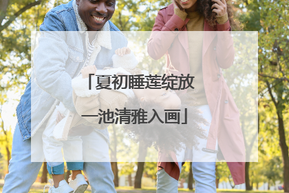 夏初睡莲绽放 一池清雅入画