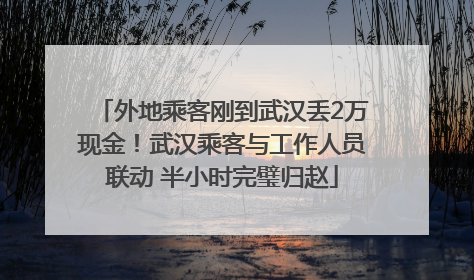 外地乘客刚到武汉丢2万现金！武汉乘客与工作人员联动 半小时完璧归赵
