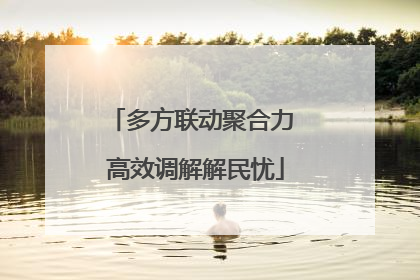 多方联动聚合力 高效调解解民忧