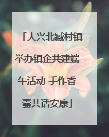 大兴北臧村镇举办镇企共建端午活动 手作香囊共话安康