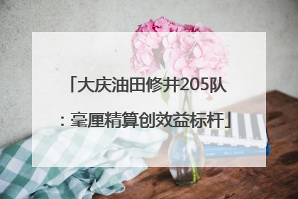 大庆油田修井205队：毫厘精算创效益标杆