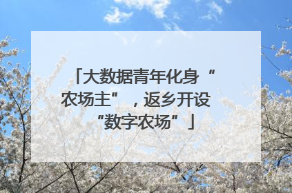 大数据青年化身“农场主”，返乡开设“数字农场”