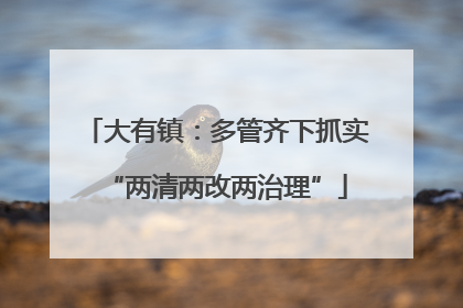 大有镇：多管齐下抓实“两清两改两治理”