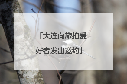 大连向旅拍爱好者发出邀约