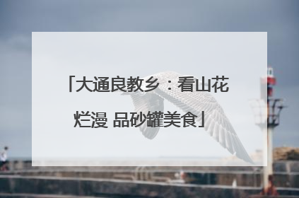 大通良教乡：看山花烂漫 品砂罐美食