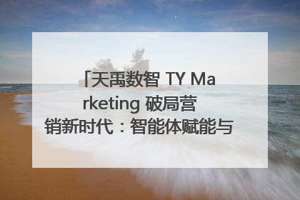 天禹数智 TY Marketing 破局营销新时代：智能体赋能与人才培育双轮驱动