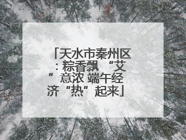 天水市秦州区：粽香飘 “艾”意浓 端午经济“热”起来
