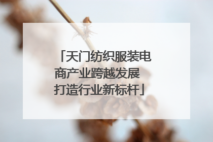 天门纺织服装电商产业跨越发展 打造行业新标杆