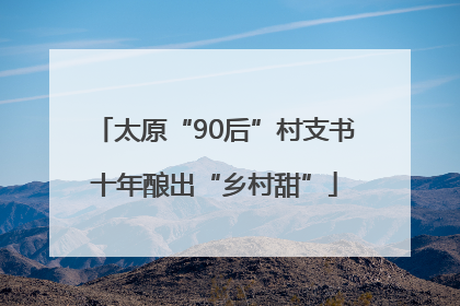 太原“90后”村支书十年酿出“乡村甜”
