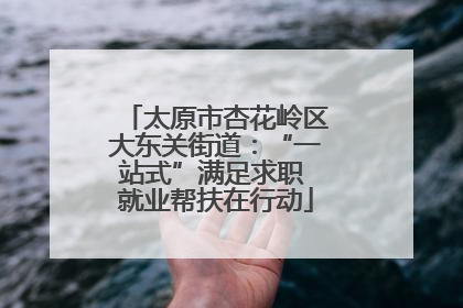 太原市杏花岭区大东关街道：“一站式”满足求职 就业帮扶在行动