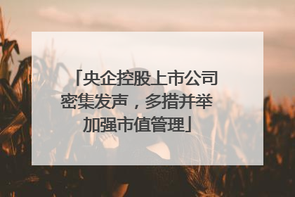 央企控股上市公司密集发声，多措并举加强市值管理