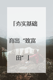夯实基础育出“致富田”