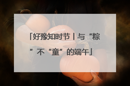好豫知时节丨与“粽”不“童”的端午
