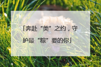 奔赴“美”之约，守护最“粽”要的你