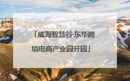 威海智慧谷·东华跨境电商产业园开园