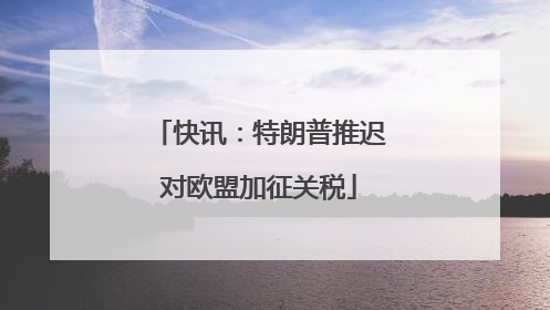 快讯：特朗普推迟对欧盟加征关税