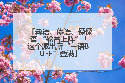 彝语、傣语、傈僳语 “轮番上阵”！这个派出所“三语BUFF”叠满