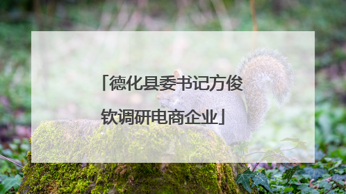 德化县委书记方俊钦调研电商企业