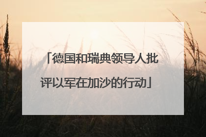 德国和瑞典领导人批评以军在加沙的行动
