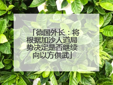 德国外长：将根据加沙人道局势决定是否继续向以方供武