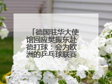 德国驻华大使馆回应樊振东赴德打球：会为欧洲的乒乓球联赛带来新的光彩