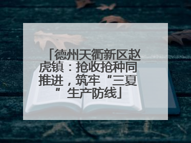 德州天衢新区赵虎镇：抢收抢种同推进，筑牢“三夏”生产防线