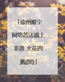 徐州睢宁：网络普法遇上非遗 火花四溅(图)