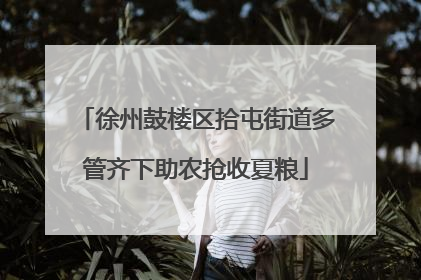 徐州鼓楼区拾屯街道多管齐下助农抢收夏粮