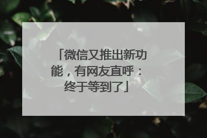 微信又推出新功能，有网友直呼：终于等到了