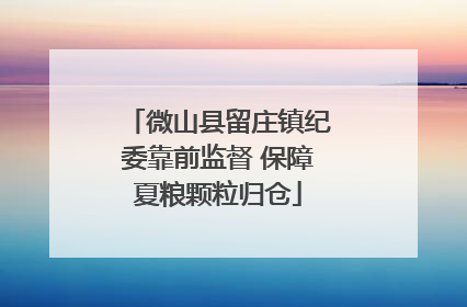 微山县留庄镇纪委靠前监督 保障夏粮颗粒归仓
