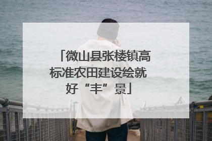 微山县张楼镇高标准农田建设绘就好“丰”景