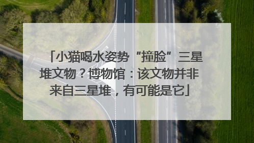 小猫喝水姿势“撞脸”三星堆文物？博物馆：该文物并非来自三星堆，有可能是它
